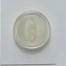 5/8" White DB66 -- Dill Buttons