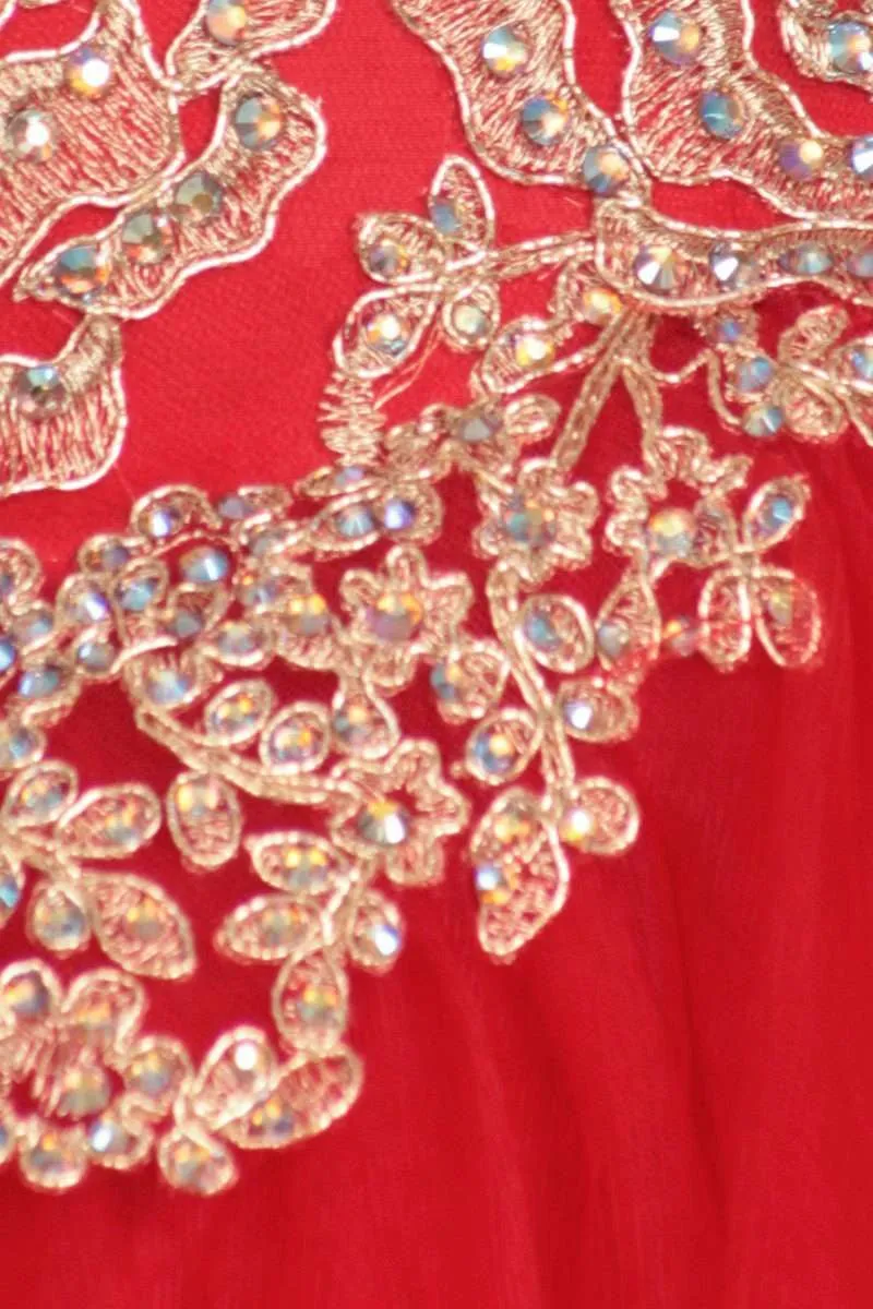 Eureka 3088 Quinceanera Dress Applique Cut-Out Back