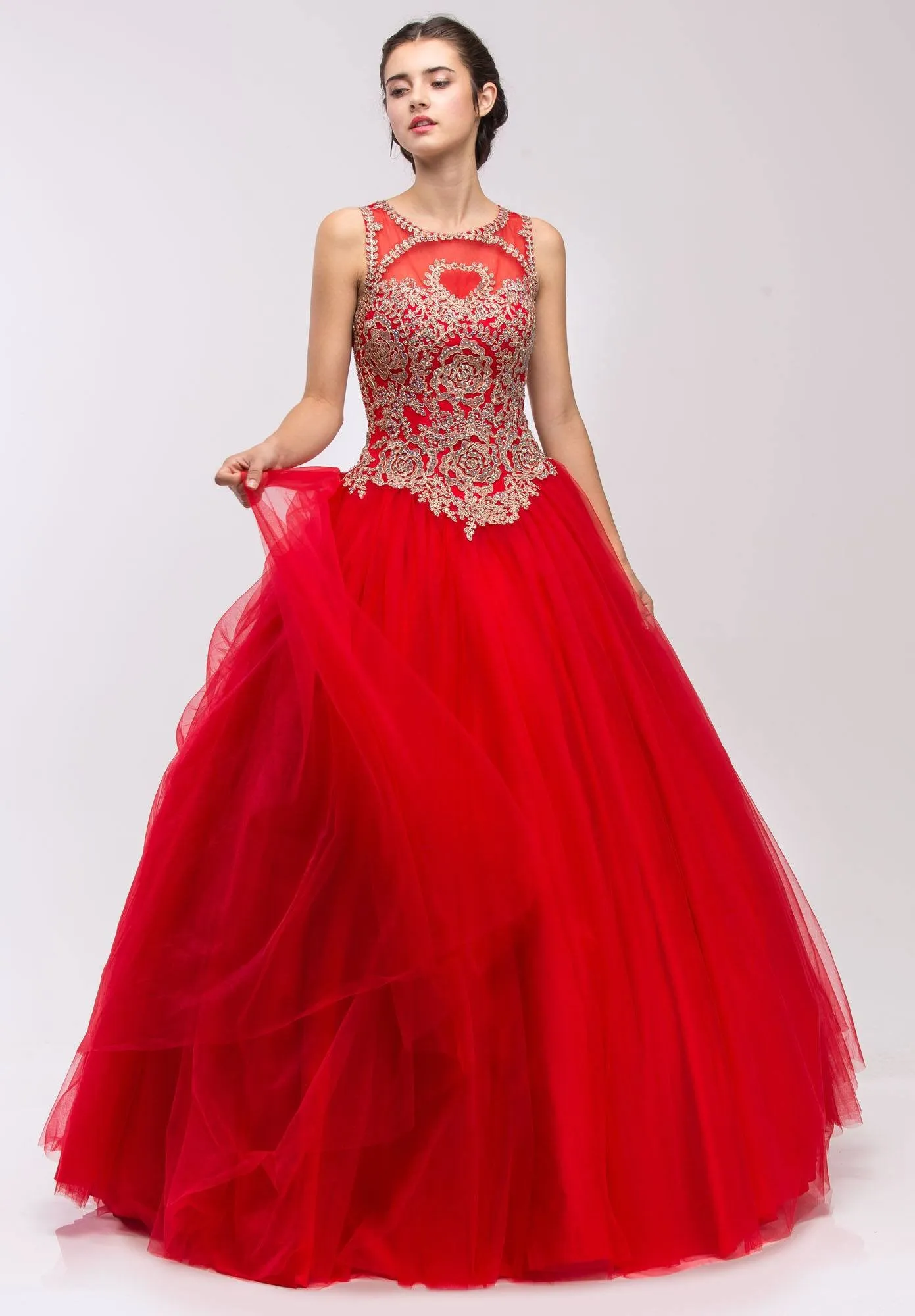 Eureka 3088 Quinceanera Dress Applique Cut-Out Back