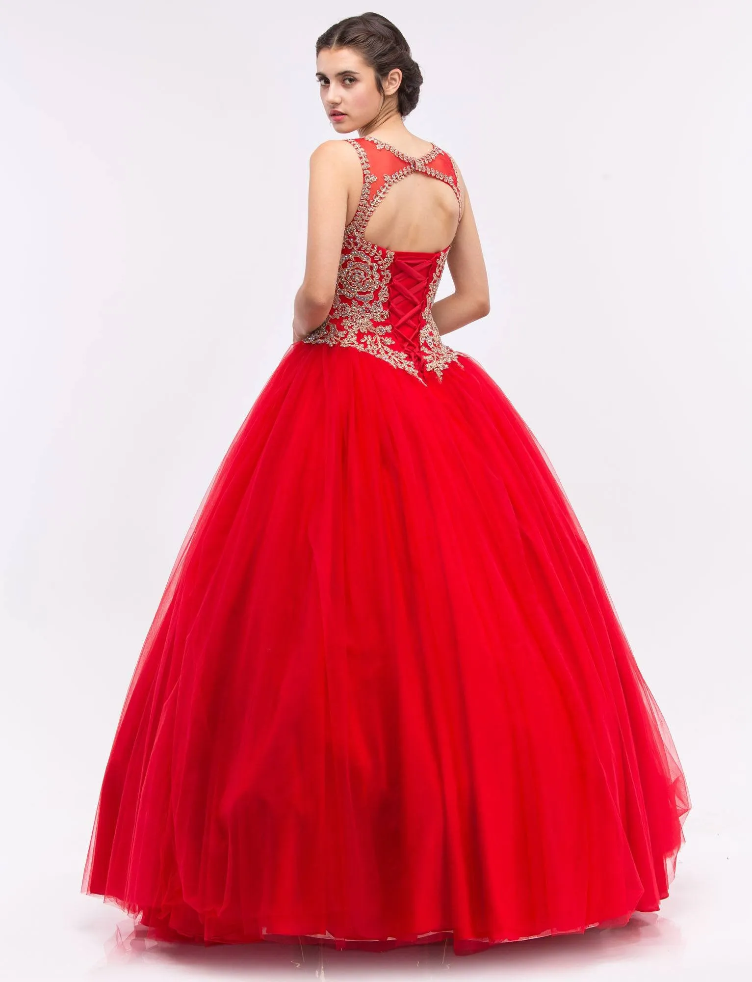 Eureka 3088 Quinceanera Dress Applique Cut-Out Back