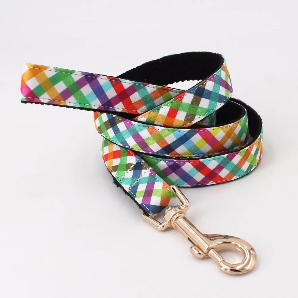 Fashion Colorful Personalized Dog ID Collar Leash set