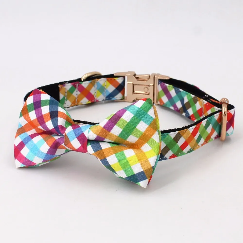 Fashion Colorful Personalized Dog ID Collar Leash set