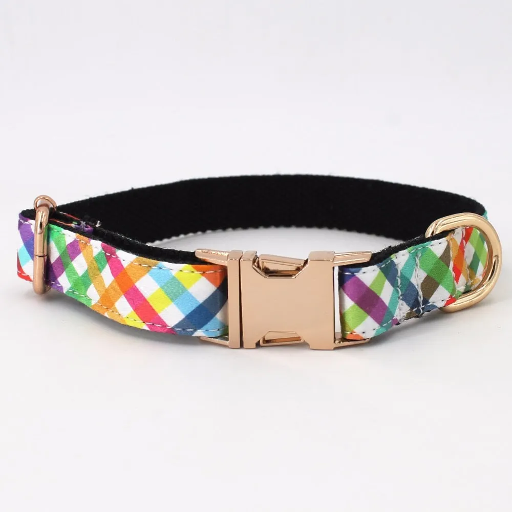 Fashion Colorful Personalized Dog ID Collar Leash set