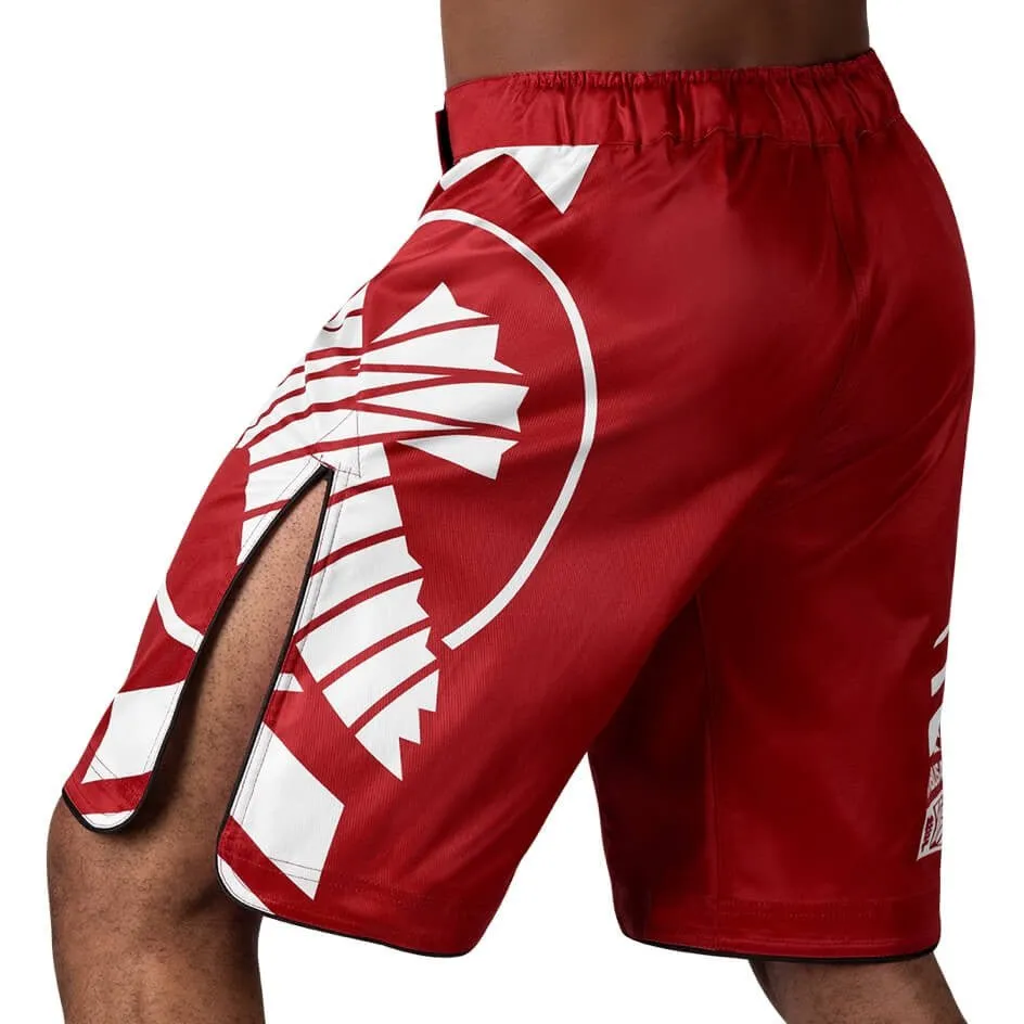 HAYABUSA® Icon MMA Shorts |Fight Shorts | Training Wrestling Fight Shorts Men's Boxing MMA Combat BJJ Grappling Fitness Muay Thai Kickboxing