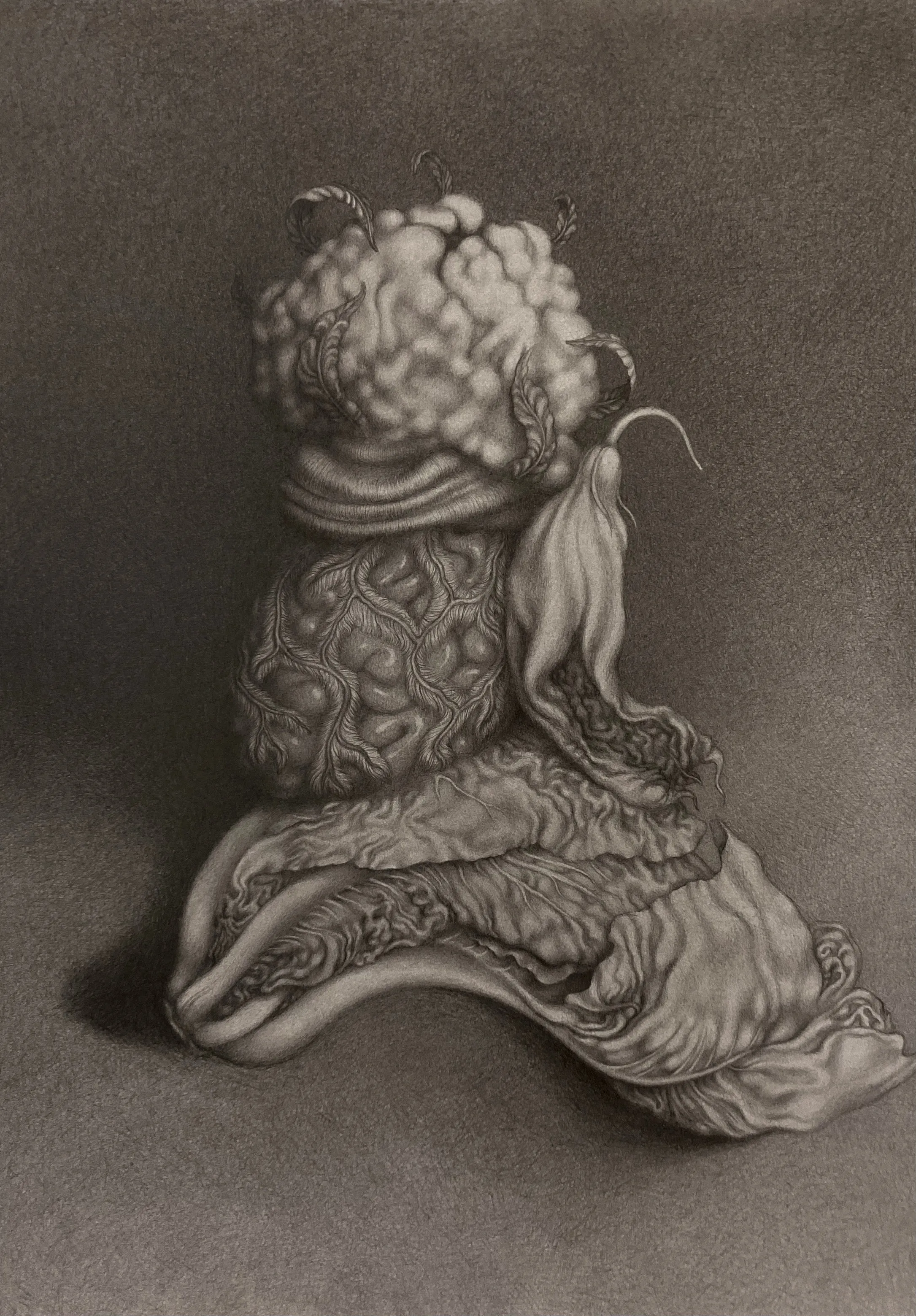 Laura Laine | Cabbages