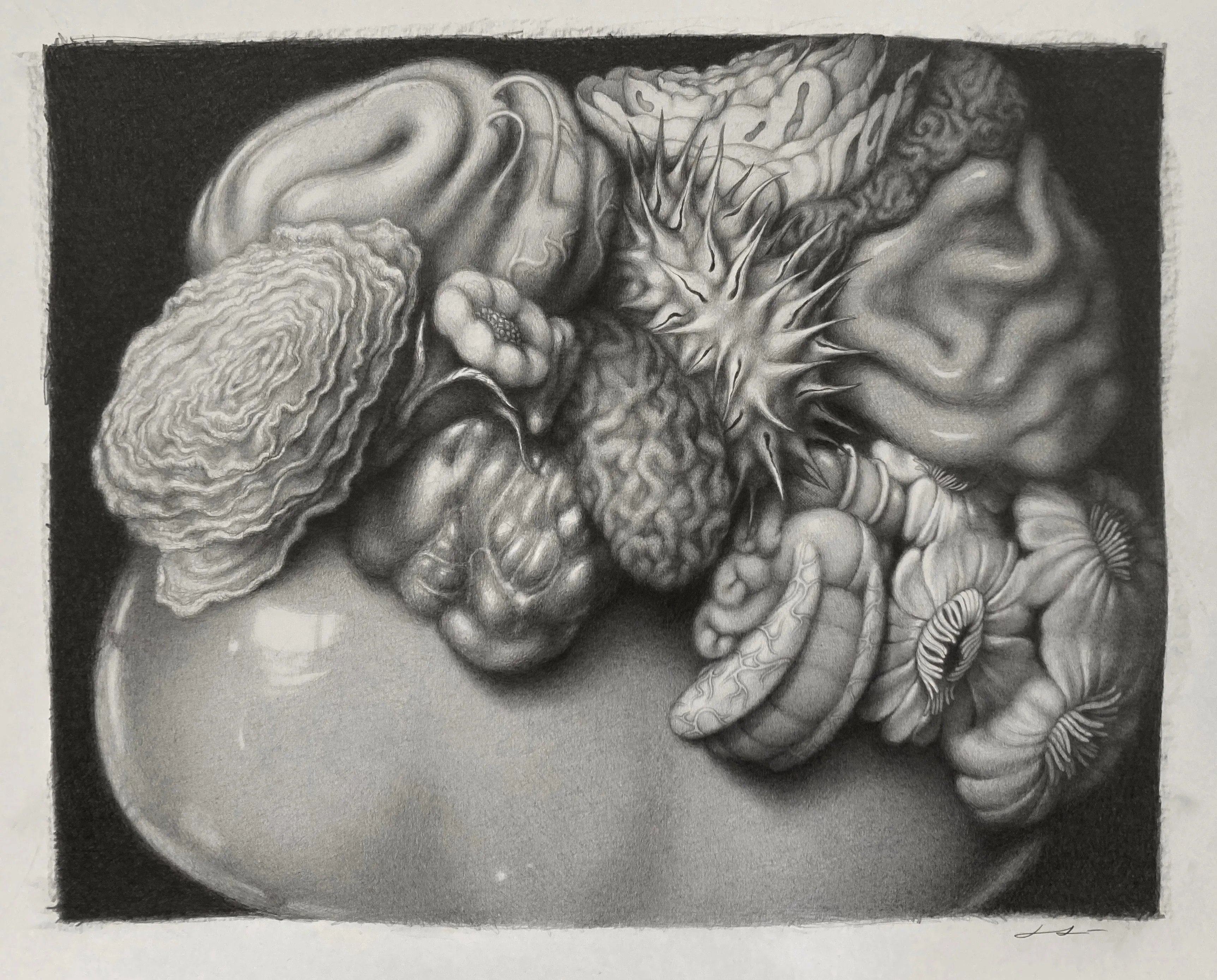 Laura Laine | Claustrophobic Still Life