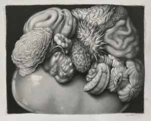 Laura Laine | Claustrophobic Still Life