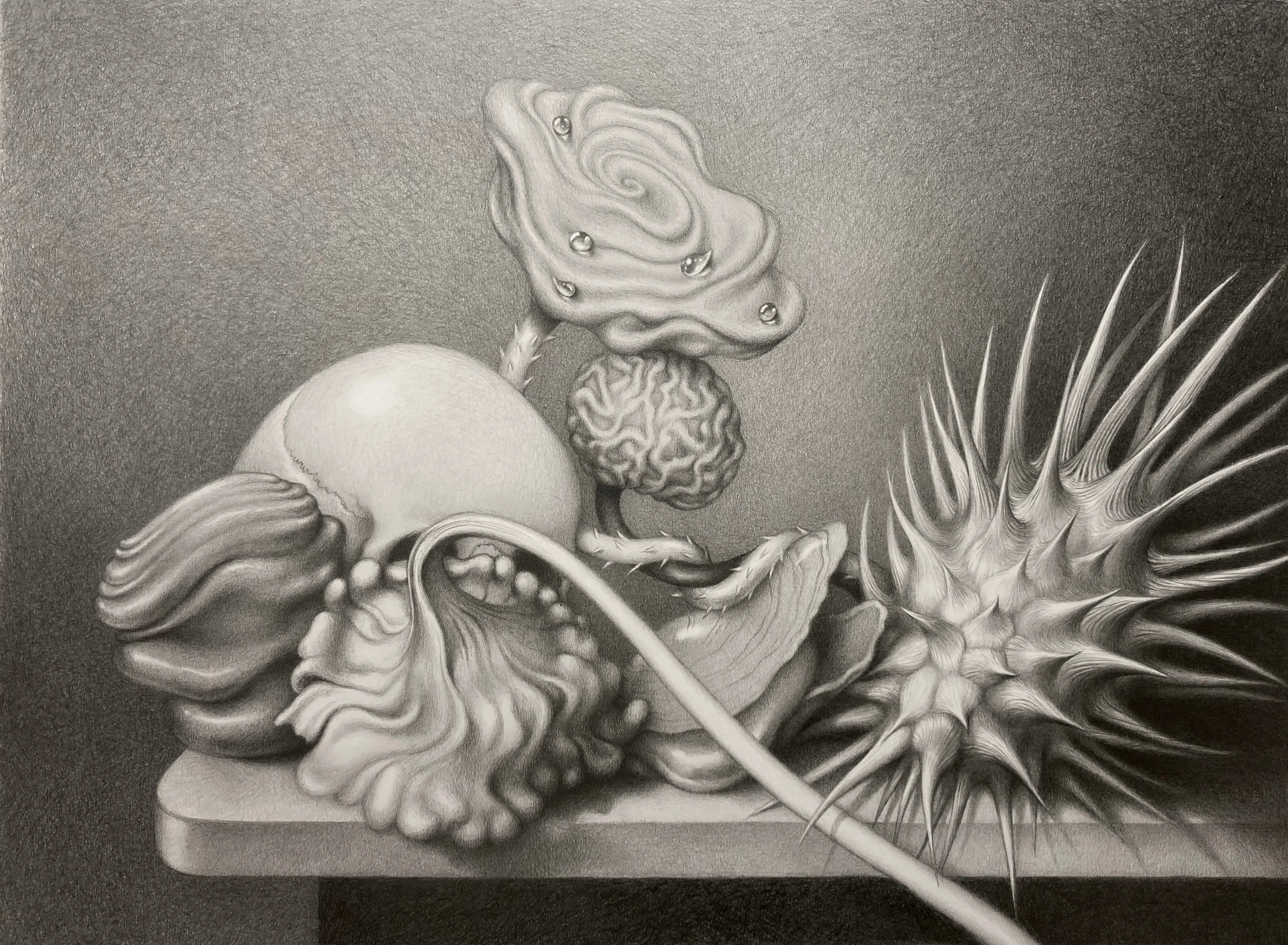 Laura Laine | Grey Vanitas