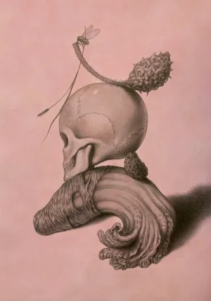 Laura Laine | Still Life In Pink