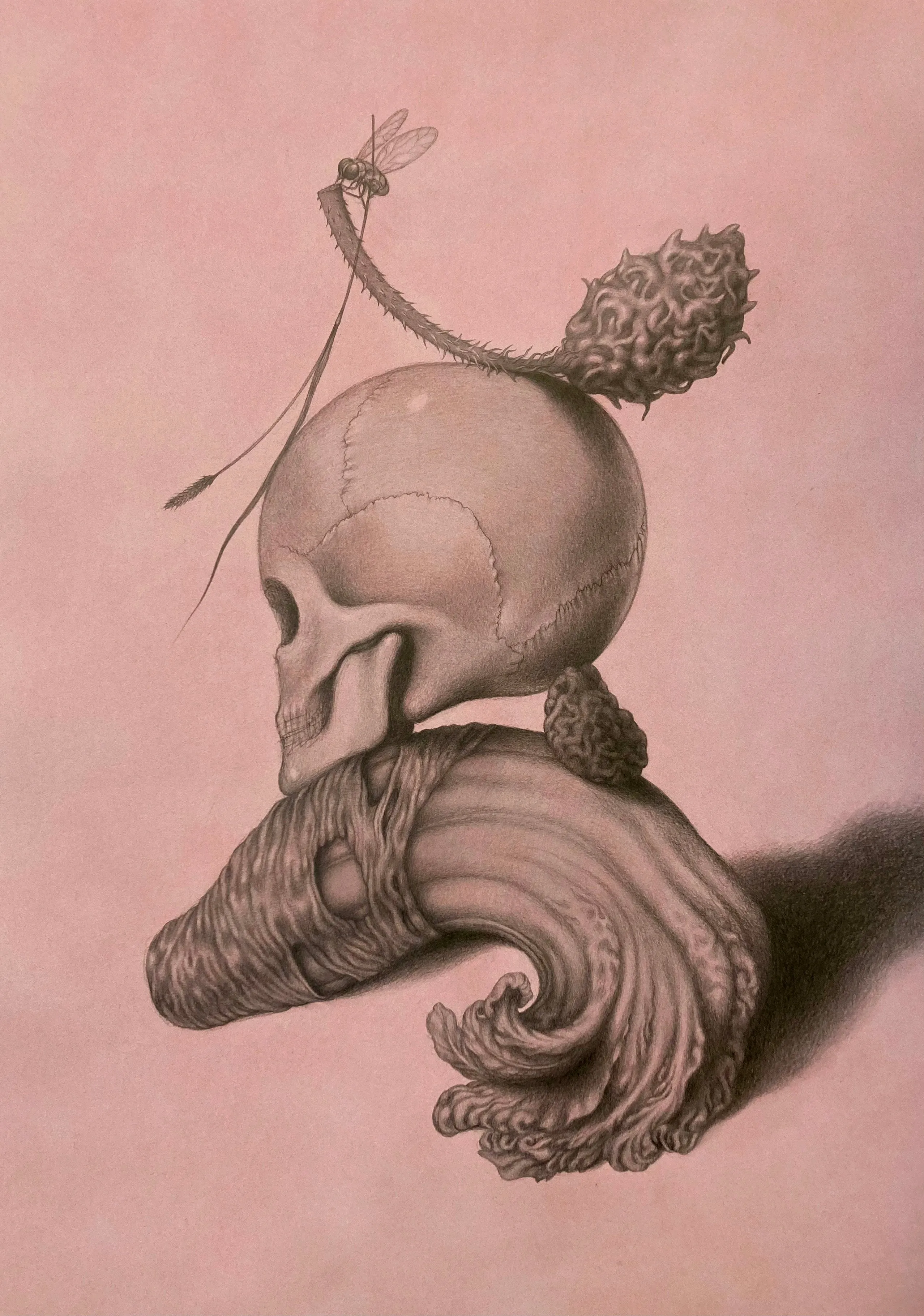 Laura Laine | Still Life In Pink