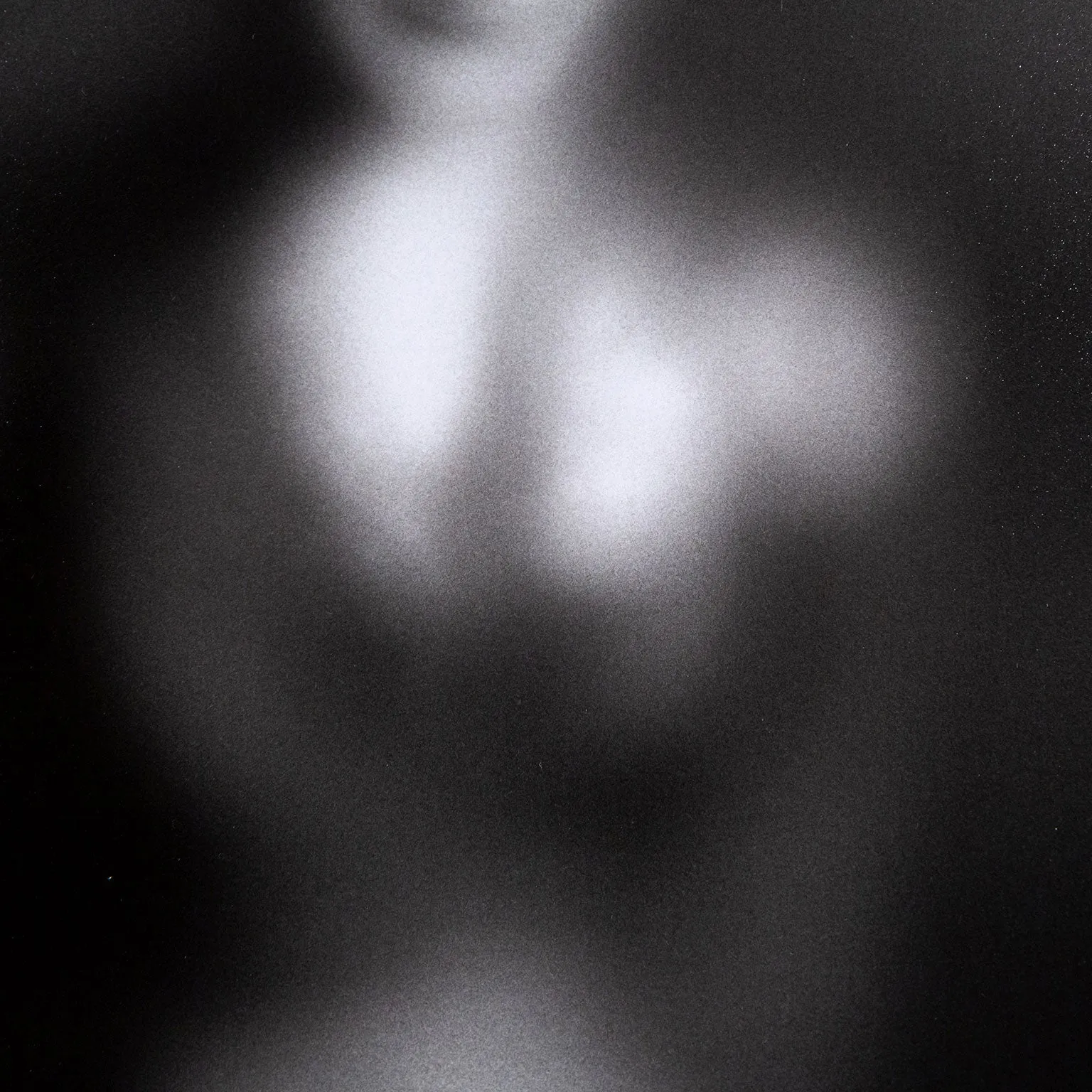 LAURIE SIMMONS “UNTITLED (WOMAN'S HEAD)”, 1976