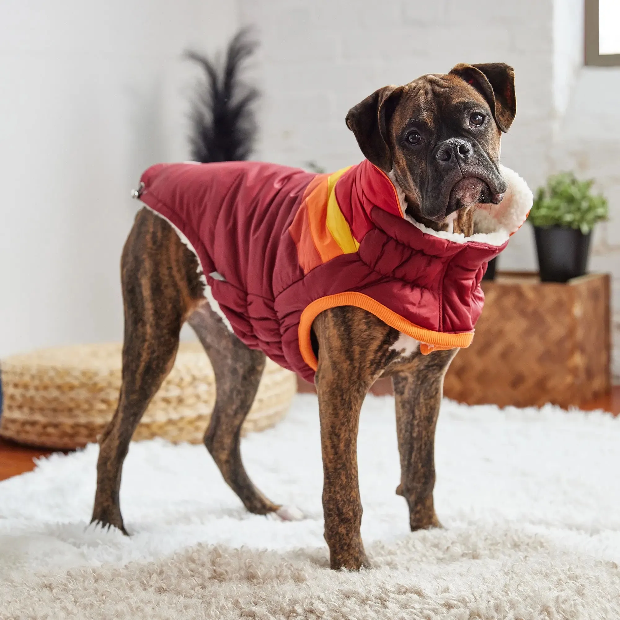 Summit Dog Puffer | Dark Red