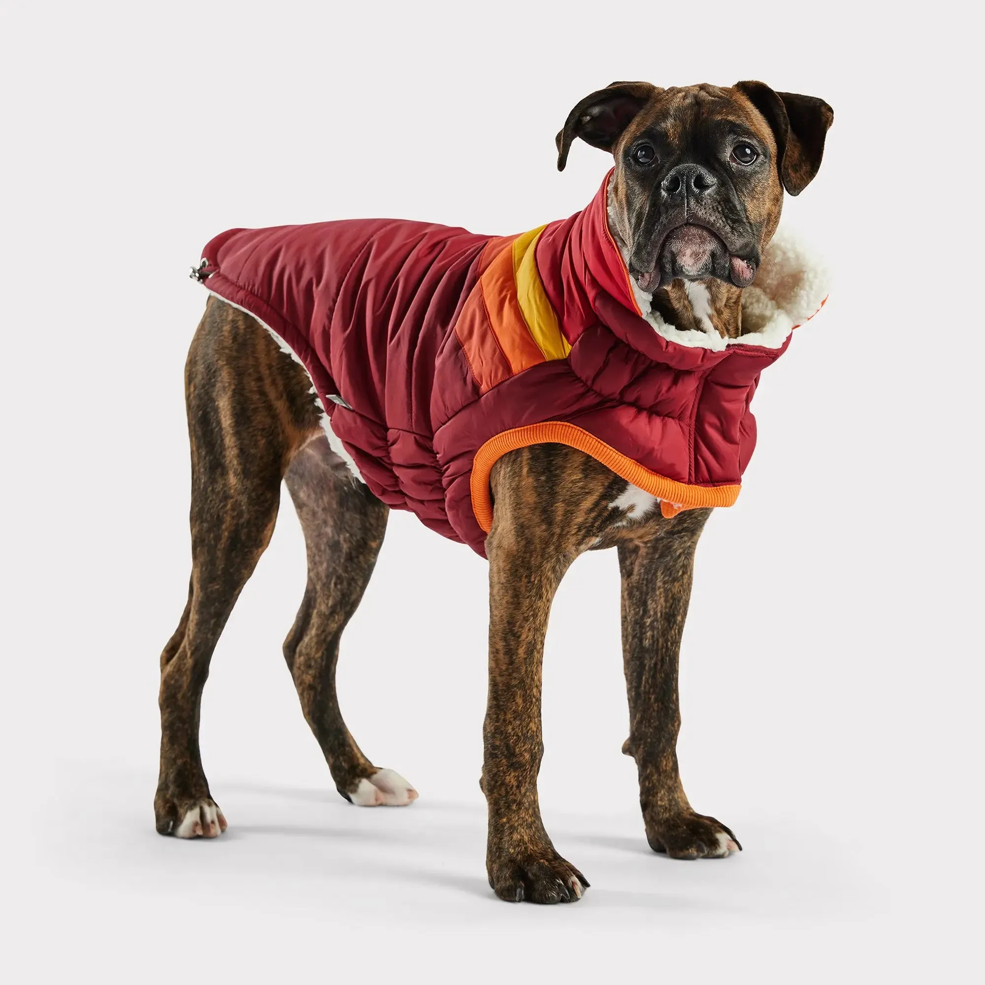 Summit Dog Puffer | Dark Red